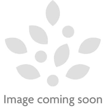 Market Street Sliced White Bread