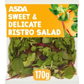 Mild Bistro Salad (170g)