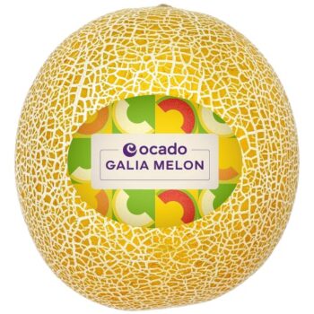 Ocado Galia Melon (800g)