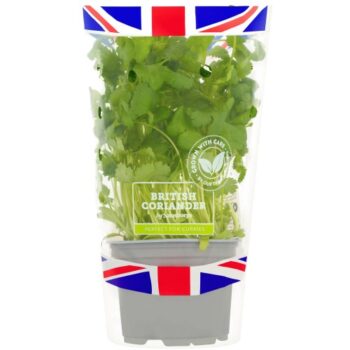 Sainsbury's Fresh Living Coriander Pot