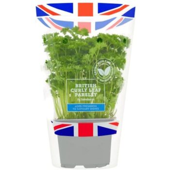 Sainsbury's Fresh Living Curly Parsley Pot