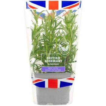Sainsbury's Fresh Living Rosemary