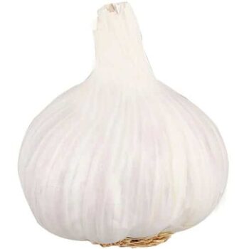 Sainsbury's Garlic
