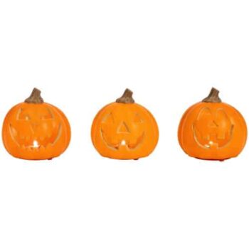 Sainsbury's Home Mini Pumpkins Assortment