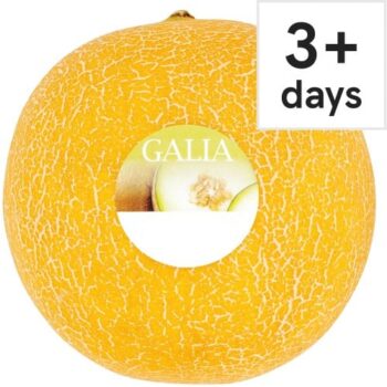 Tesco Galia Melon Each