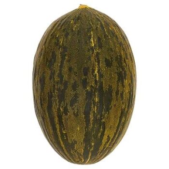 Waitrose Piel De Sapo Melon Each