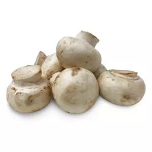 British Baby Button Mushrooms