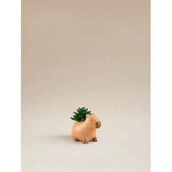 George Home Capybara Succulent