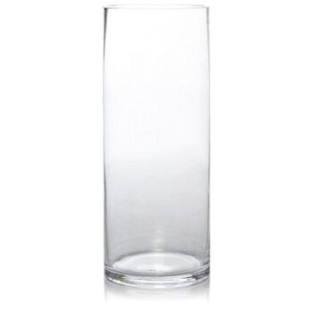 George Home Glass Cylinder Vase
