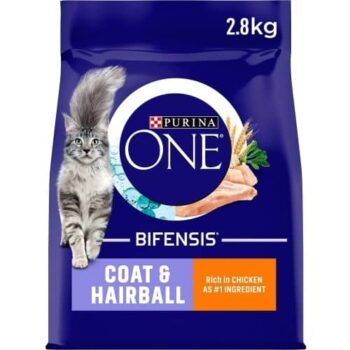 Purina ONE Adult Dry Cat Food Chicken & Wholegrains (2.8kg)