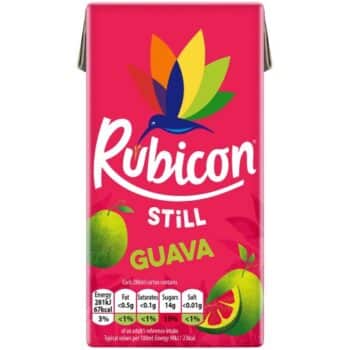 Rubicon Guava Juice Drink (288ml)