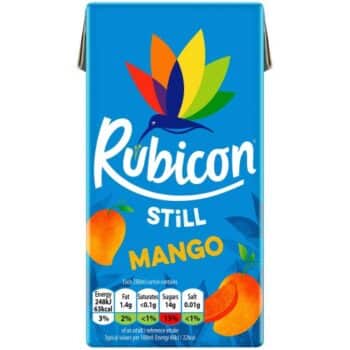 Rubicon Mango Fruit Juice Drink (288ml)