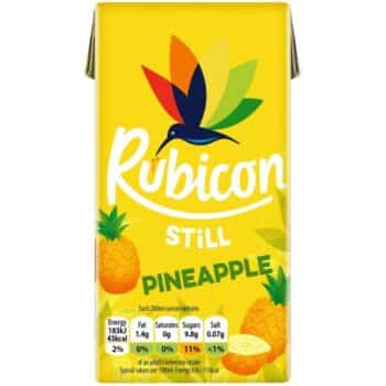 Rubicon Pineapple Juice Drink (288ml)