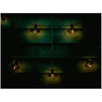TESCO OUTDOOR SOLAR CAGE STRING LIGHTS