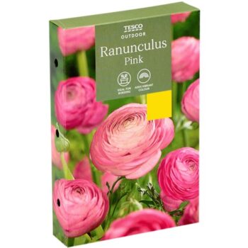 Tesco Ranunculus Pink