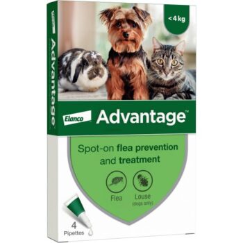 Advantage Spot-On Flea Treatment For Cats Small Dogs And Rabbits Up To (4 x 3.99kg)