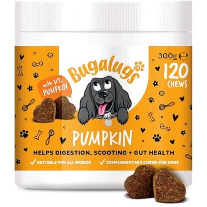 Bugalugs Pumpkin Chews For Dogs (120 x 300g)