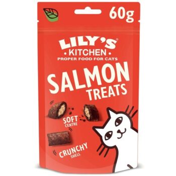 Lily's Kitchen Salmon Pillow Treats for Cats (60g)