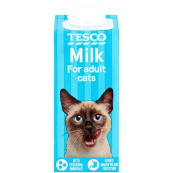 Tesco Milk For Milk For Cats (200ml)