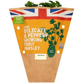 ASDA Delicate & Peppery Growing Curly Parsley