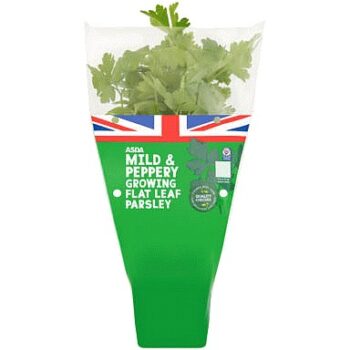 ASDA Mild & Peppery Growing Flat Leaf Parsley