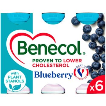 Benecol Blueberry Smooth Yogurt Drink (6 x 67.5g)
