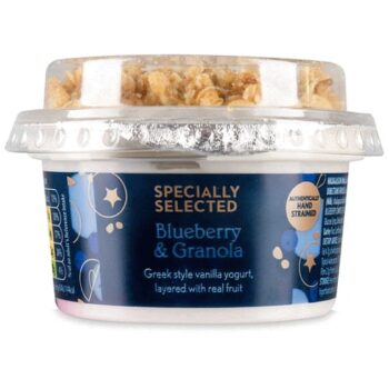Blueberry Yogurt Granola