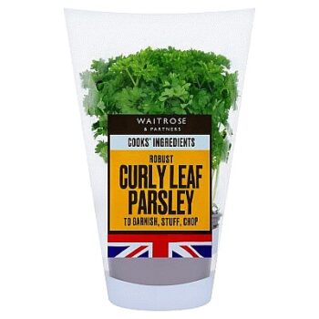 Cooks' Ingredients Curly Parsley Medium Pot each