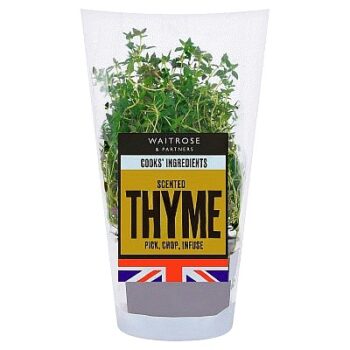 Cooks' Ingredients Pot Thyme Each