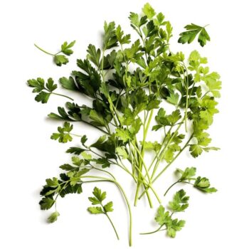 Daylesford Organic Flat Leaf Parsley (30g)