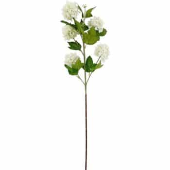 Nutmeg Home Single Stem Cows Parsley