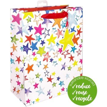 Painted Stars Large Gift Bag