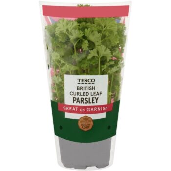 Tesco Curled Parsley Medium Pot