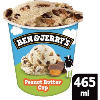 Ben & Jerry's Ice Cream Tub (465ml)