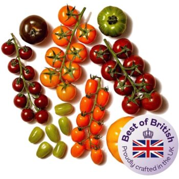 Isle of Wight Ultimate Tomato Pack (1.35kg)