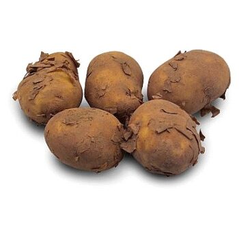 Jersey Royal New Potatoes per kg