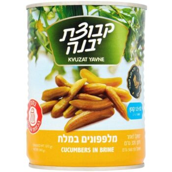 Kvuzat Yavne Cucumbers in Brine 13-17 (560g)