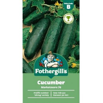 Mr Fothergills Cucumber Marketmore