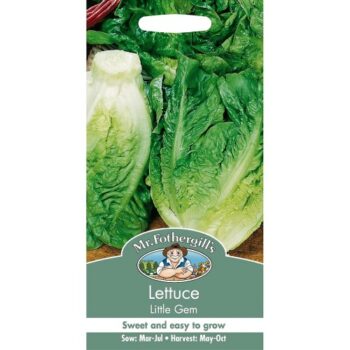 Mr Fothergill's Seeds Lettuce Little Gem