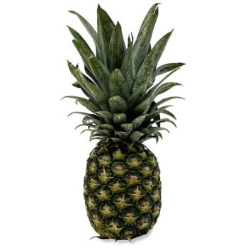 Pineapple