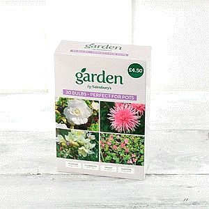 Sainsbury's Bulbs Perfect for Pots (30)